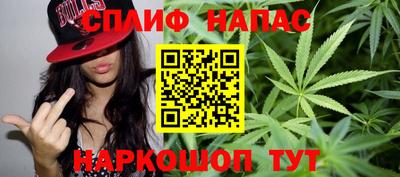 гашик Сланцы