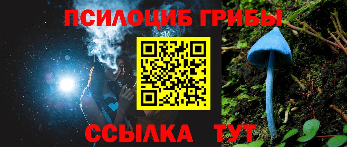 Псилоцибиновые грибы ЛСД  как найти   Омск  Вход с VPN  Псилоцибиновые грибы Psilocybine cubensis 