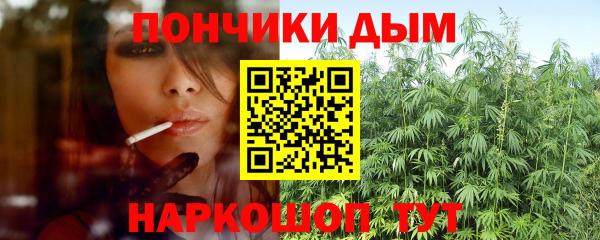Бошки Шишки индика  Вход с VPN  Марихуана план  Омск  Канабис OG Kush 